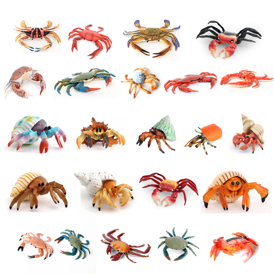 Kids Toys Under 1 Year - Realistic Ocean Animals Hermit Crab Coconut
