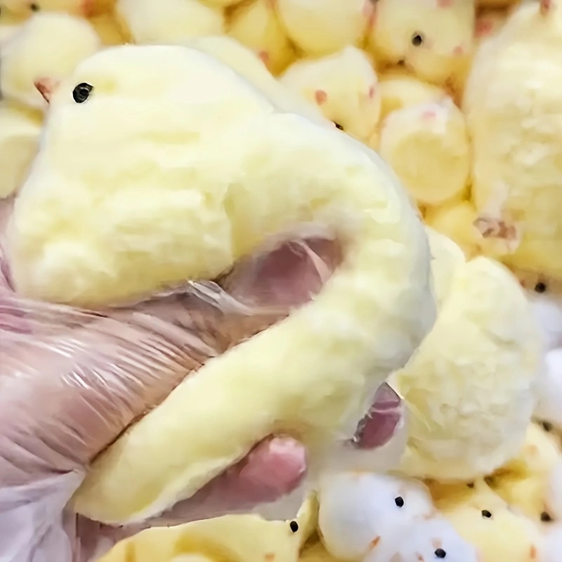 Kids Toys Entertainer - 1Pc Yellow Chick Squishy Squeeze Toy