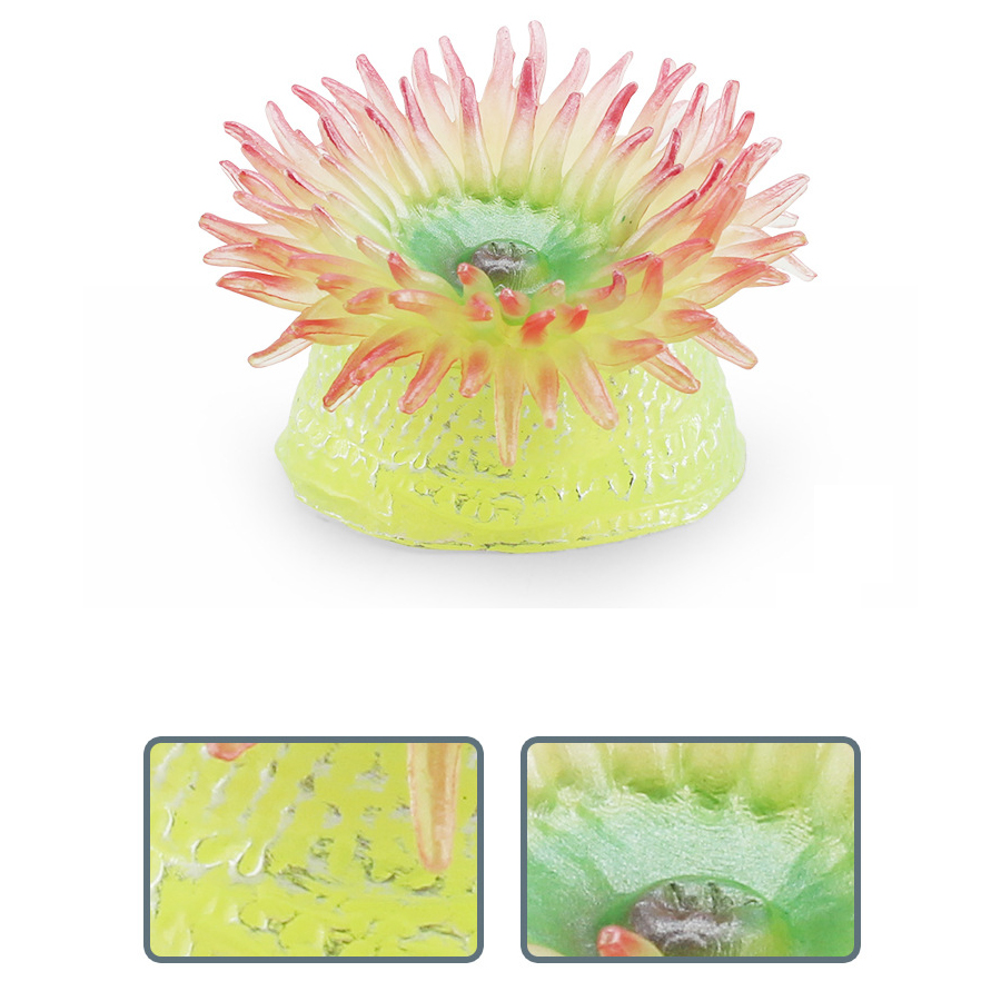 Realistic Coral Sea Anemones S - مراجعة Kids Toys Under 1 Year وسعره