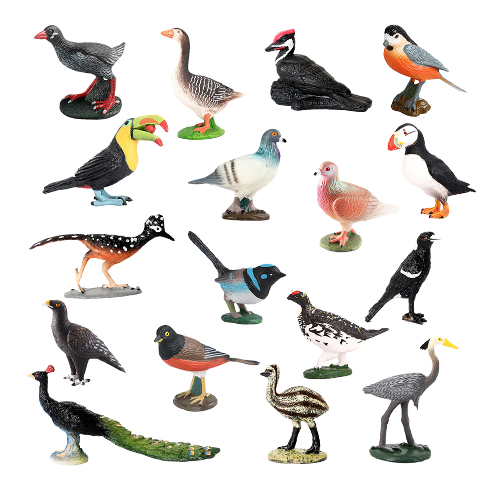 Owl Flamingo Turkey Toucan Sea - مراجعة Kids Toys Under 1 Year وسعره