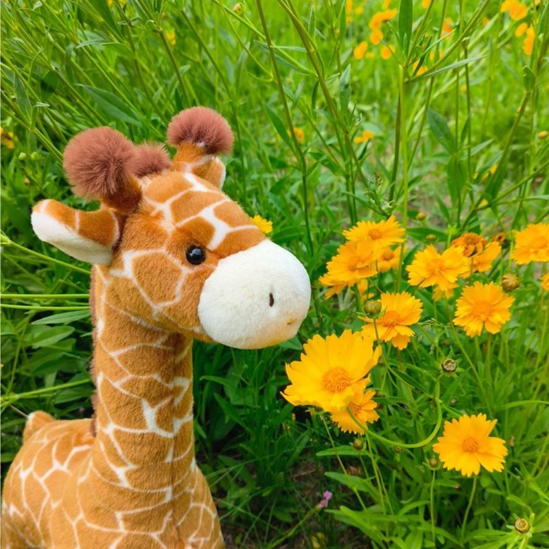 Very Soft Giraffe Plush Toy Fo - مراجعة Kids Toys Very وسعره