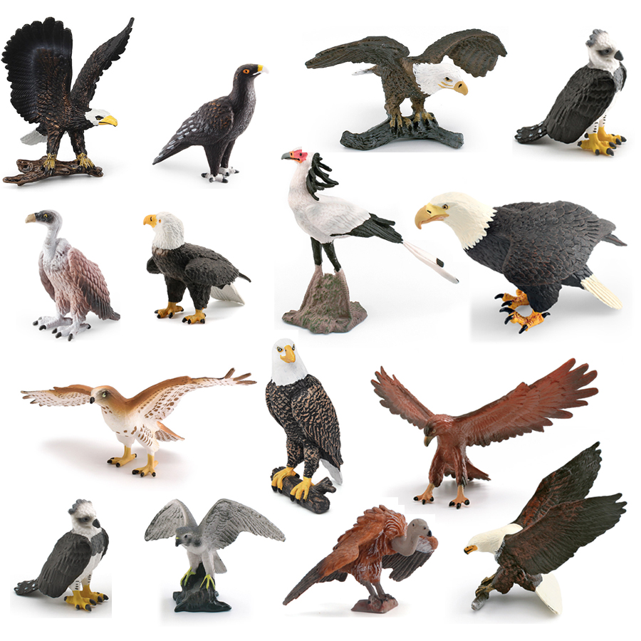Realistic Wildlife Animal Bird - مراجعة Kids Toys Under 1 Year وسعره