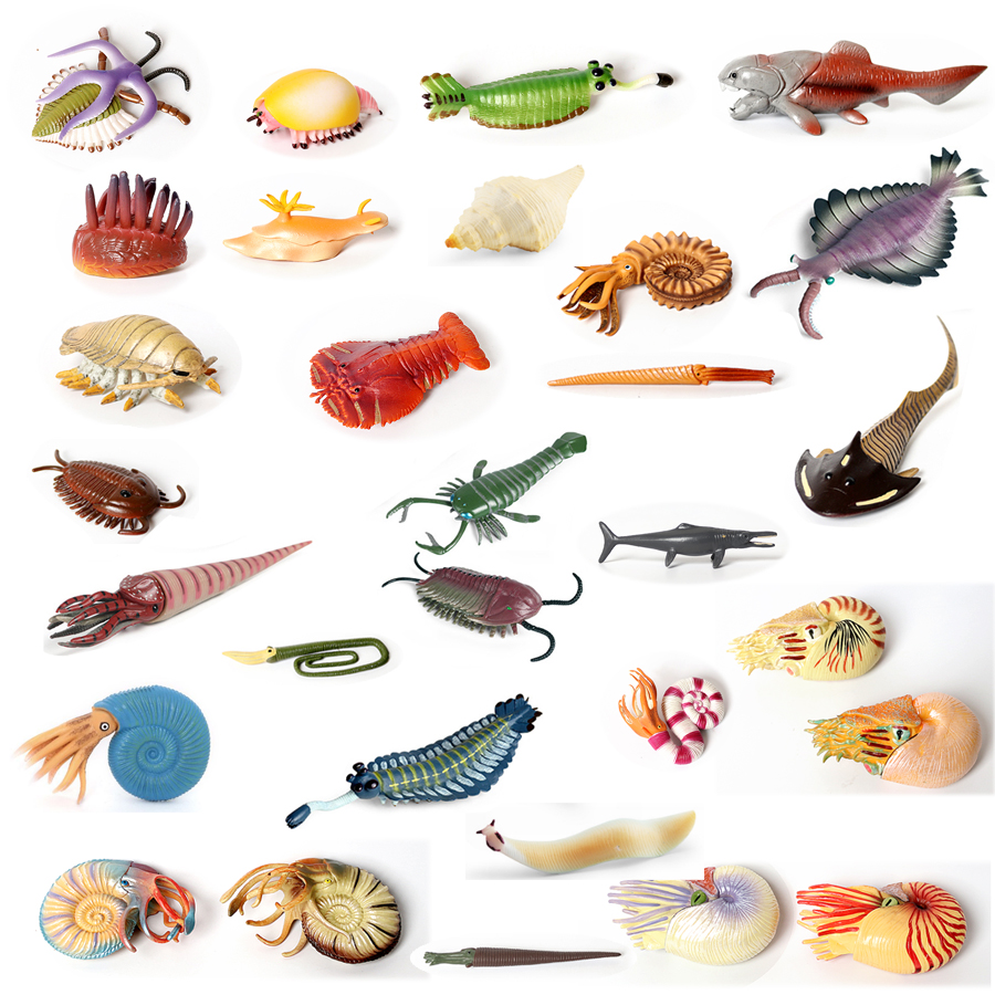 Plastic Prehistoric Sea Creatu - مراجعة Kids Toys Under 1 Year وسعره