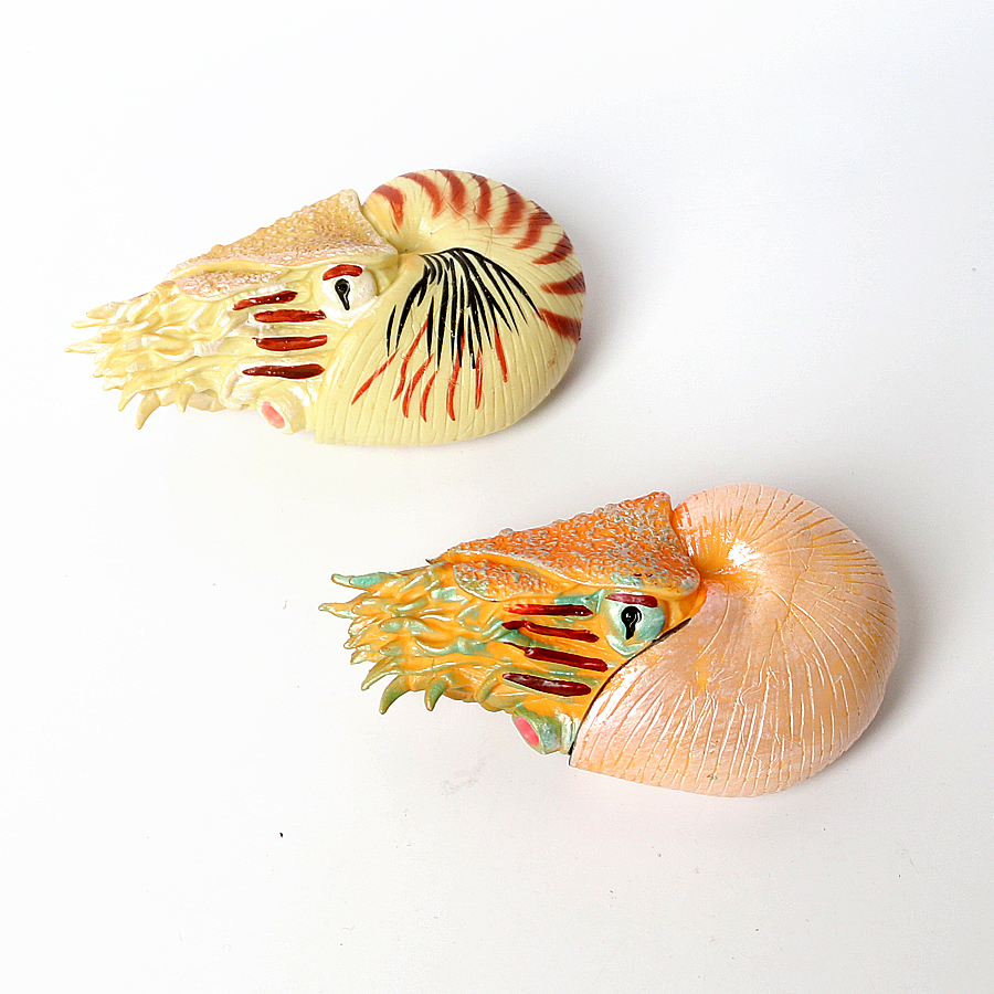 Plastic Prehistoric Sea Creatu - مراجعة Kids Toys Under 1 Year وسعره