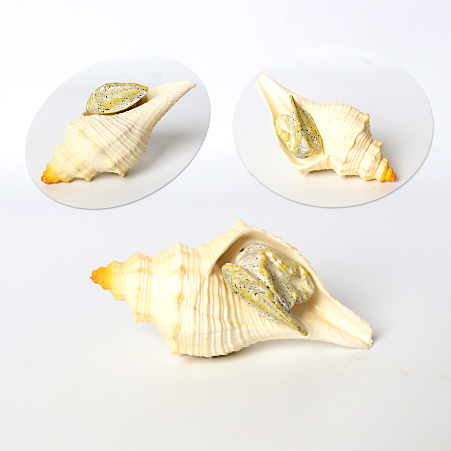 Plastic Prehistoric Sea Creatu - مراجعة Kids Toys Under 1 Year وسعره