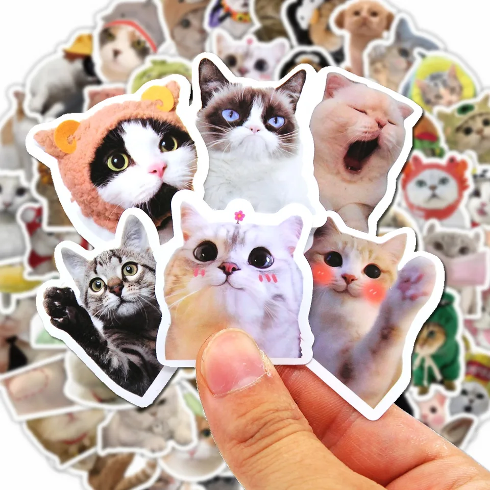 100/500/1000pcs Funny Cat Stic - مراجعة Kids Toys Laptop وسعره