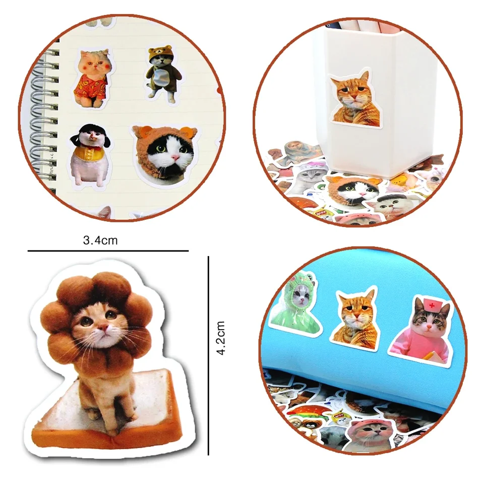 100/500/1000pcs Funny Cat Stic - مراجعة Kids Toys Laptop وسعره