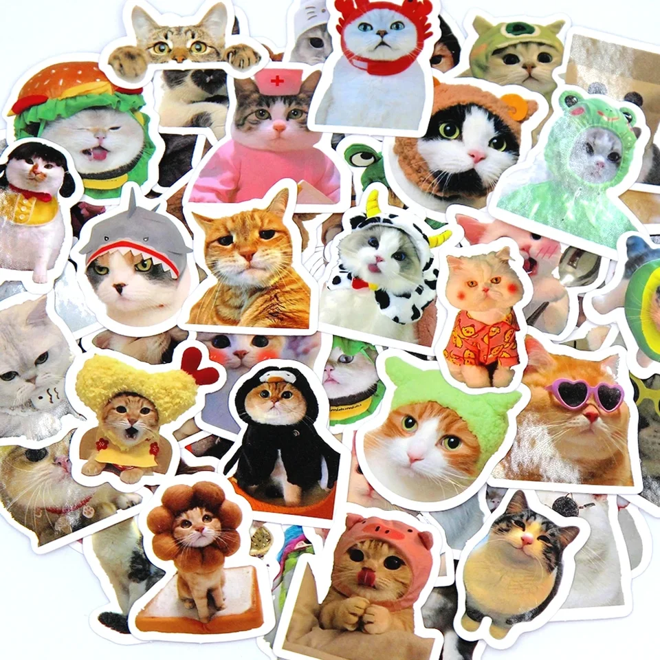 100/500/1000pcs Funny Cat Stic - مراجعة Kids Toys Laptop وسعره