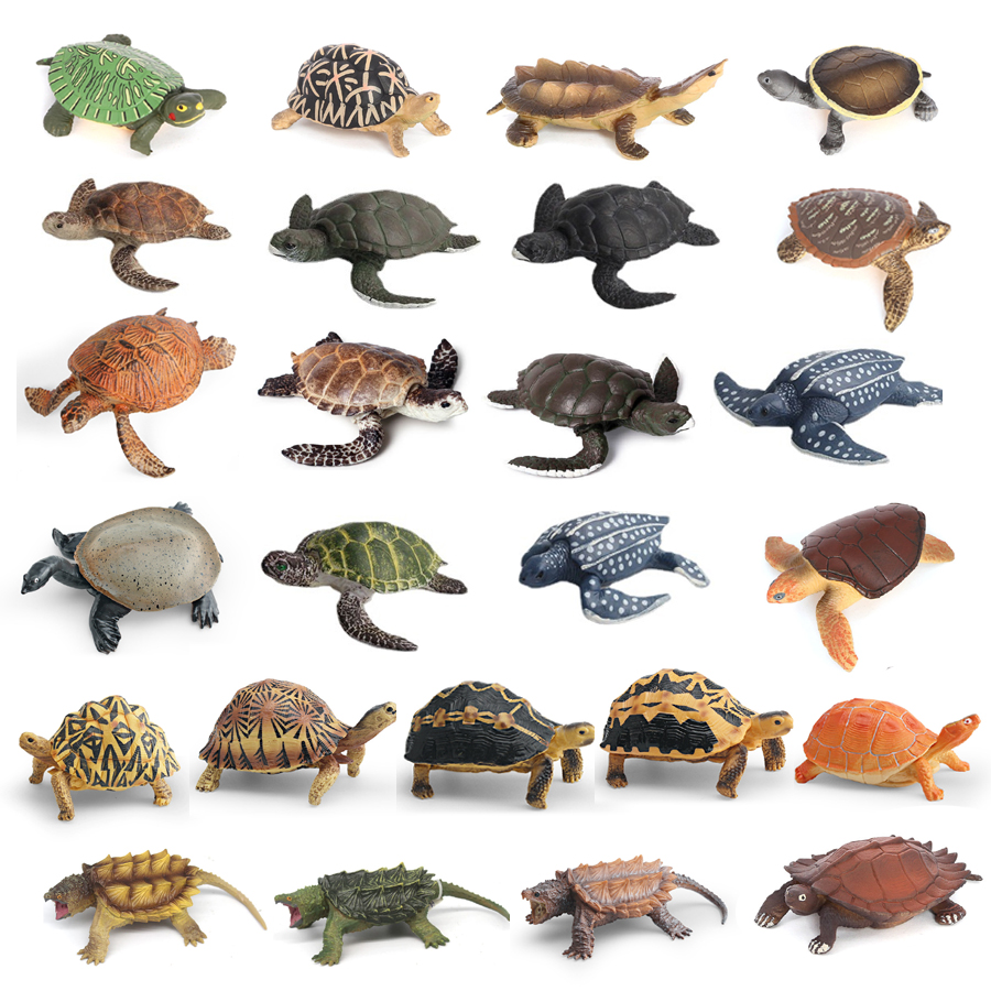 Simulation Chinese Softshell L - مراجعة Kids Toys Under 1 Year وسعره