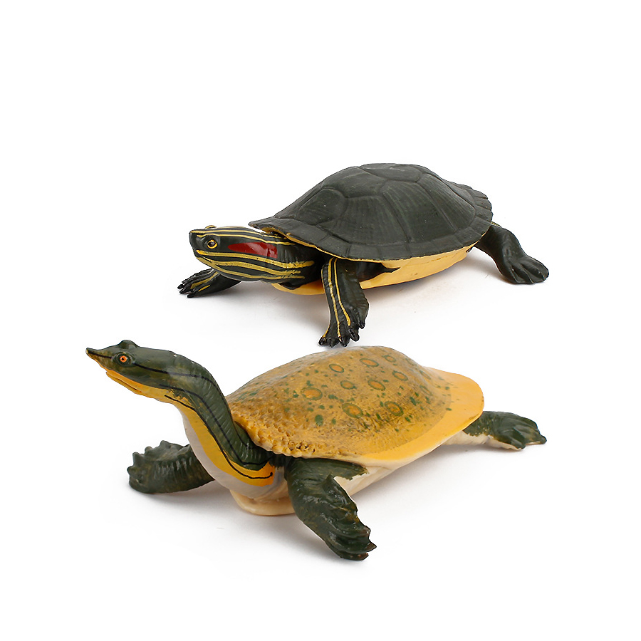Simulation Chinese Softshell L - مراجعة Kids Toys Under 1 Year وسعره