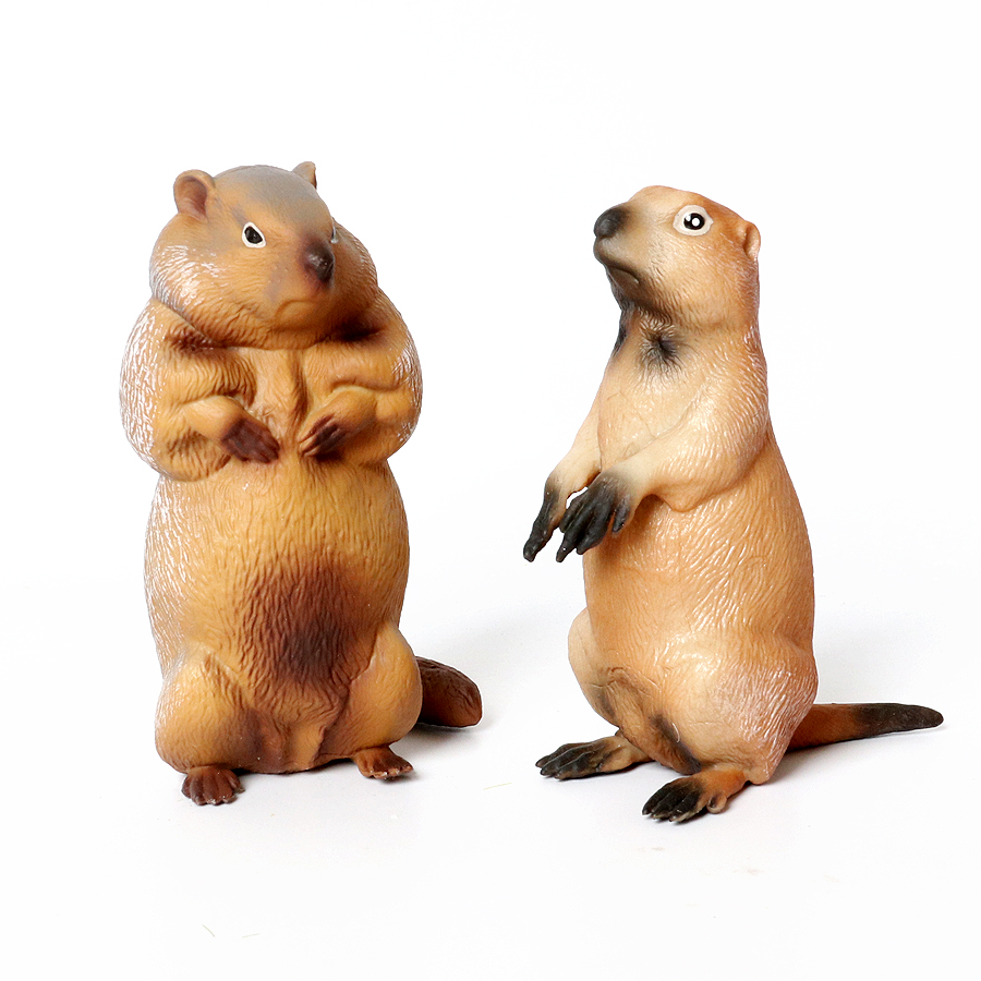 Simulation Wild Rodent Mole Op - مراجعة Kids Toys Under 1 Year وسعره