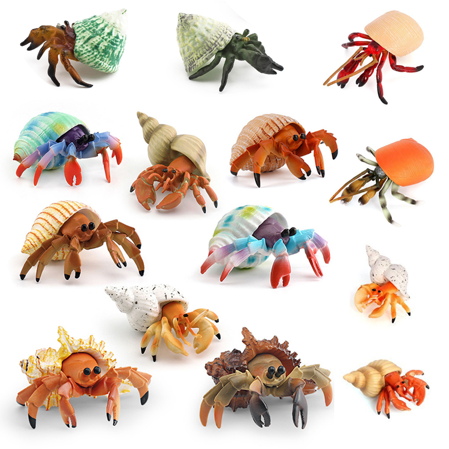 Realistic Hermit Crab Figurine - مراجعة Kids Toys Under 1 Year وسعره