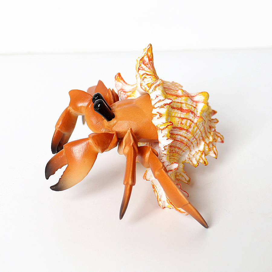 Realistic Hermit Crab Figurine - مراجعة Kids Toys Under 1 Year وسعره