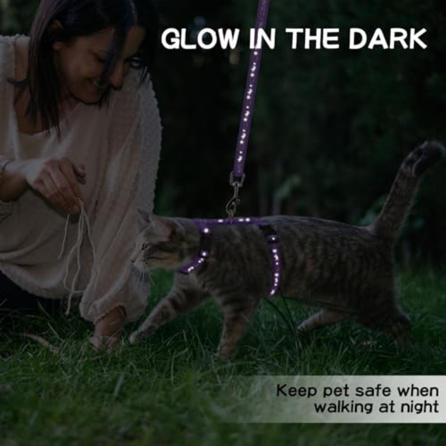 Cat Harness with Leash and Col - مراجعة Glow In Dark Stars وسعره