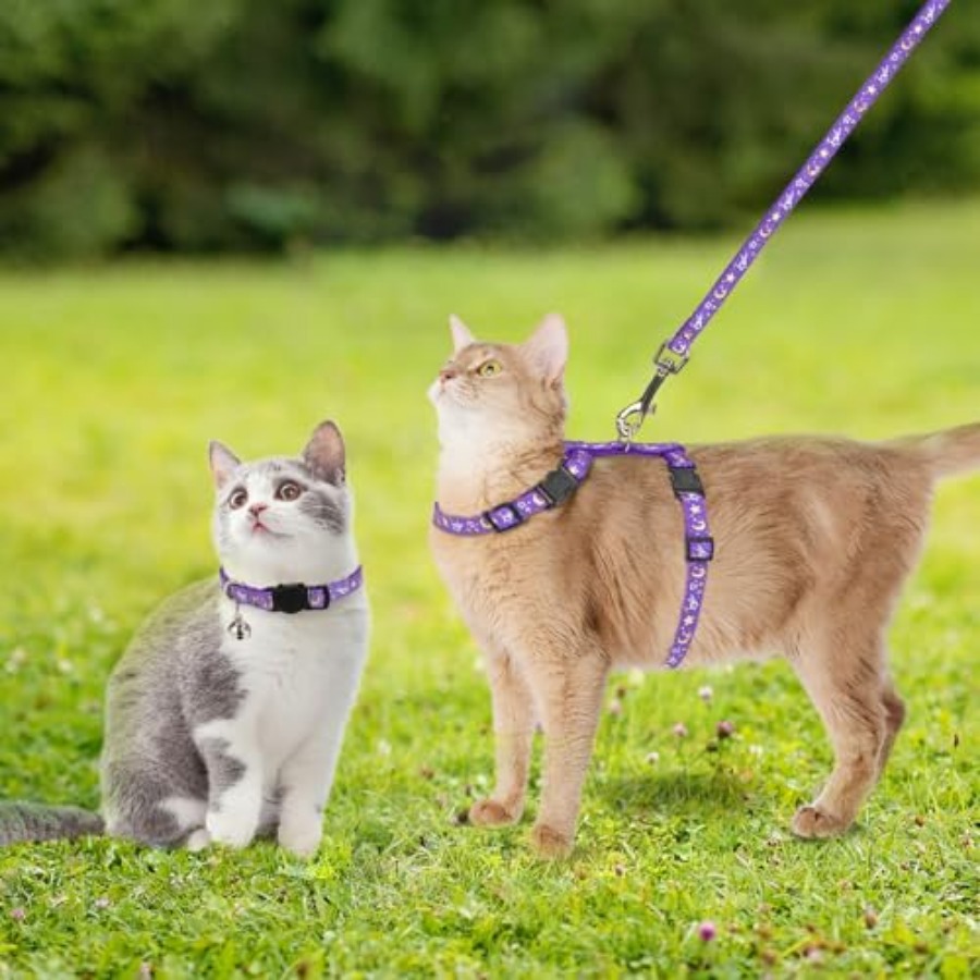 Cat Harness with Leash and Col - مراجعة Glow In Dark Stars وسعره