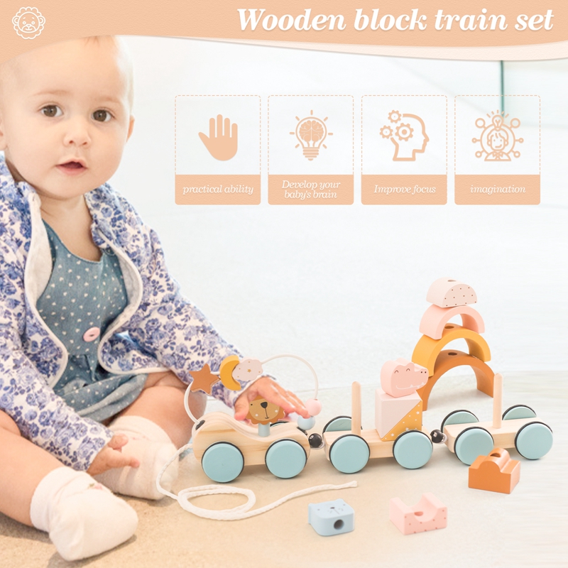Wooden Montessori Toys Animal  - مراجعة Kids Toys 2 Year Old وسعره