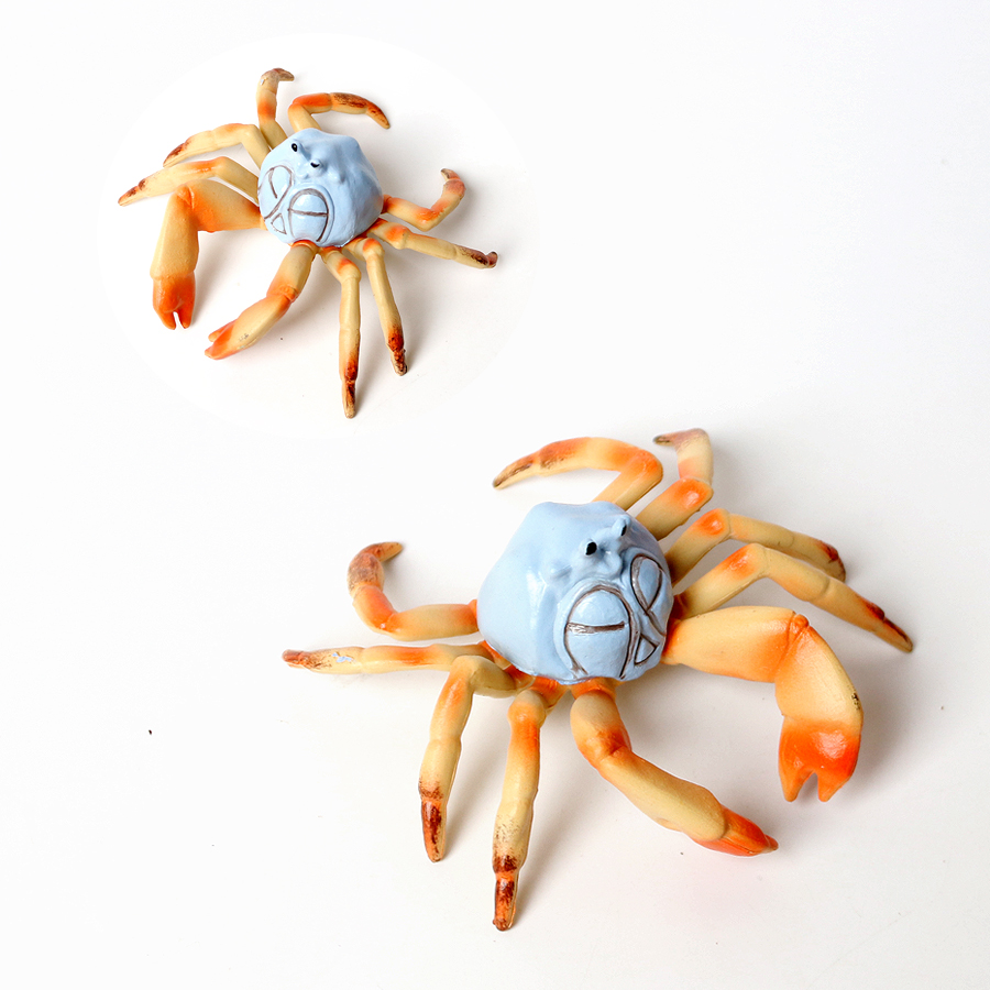 Realistic Ocean Animals Hermit - مراجعة Kids Toys Under 1 Year وسعره