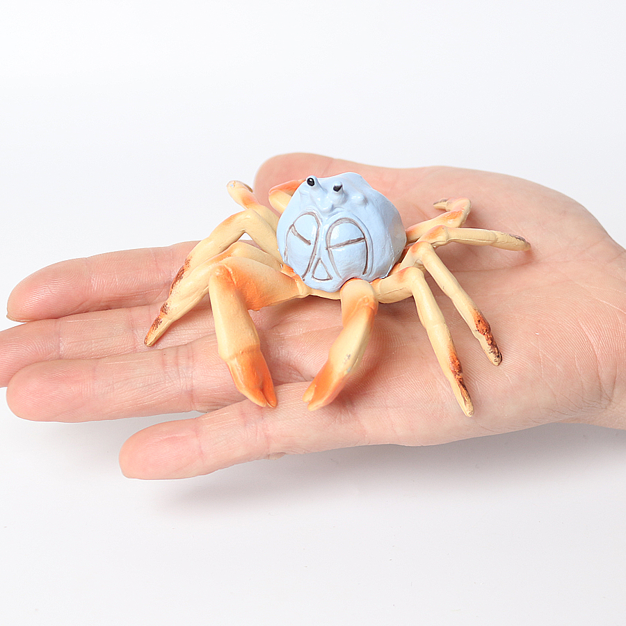 Realistic Ocean Animals Hermit - مراجعة Kids Toys Under 1 Year وسعره