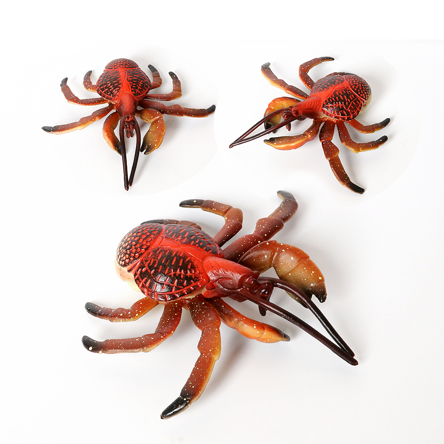 Realistic Ocean Animals Hermit - مراجعة Kids Toys Under 1 Year وسعره