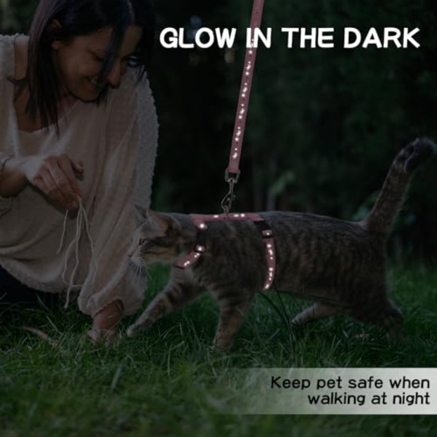 Cat Harness with Leash and Col - مراجعة Glow In Dark Stars وسعره