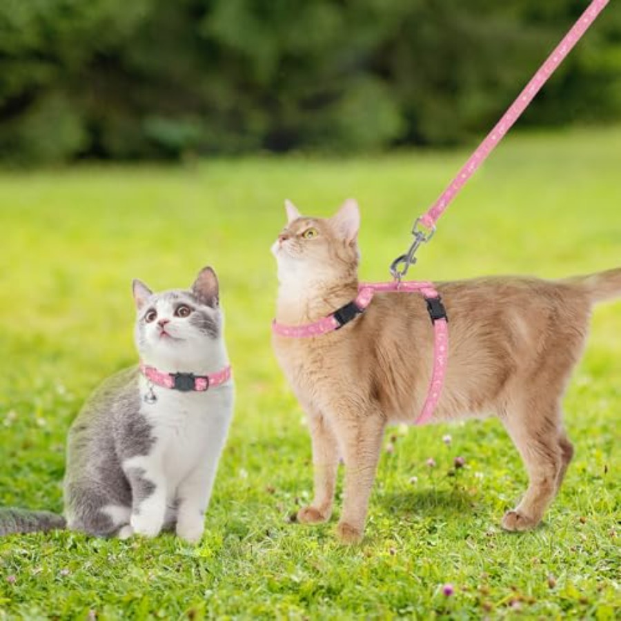 Cat Harness with Leash and Col - مراجعة Glow In Dark Stars وسعره